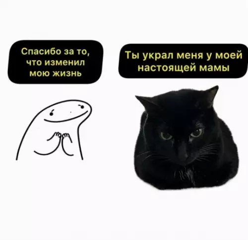 Драматичный кот и его тайное прошлое 🐈‍⬛ - Спасибо за то, что изменил мою жизнь. Ты украл меня