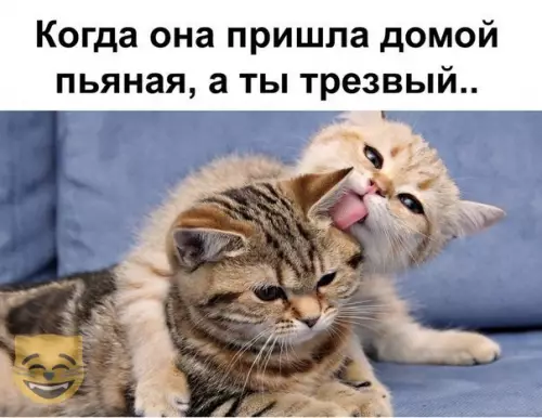 Смешная картинка №334607 #приколы #картинки #мемы ?
