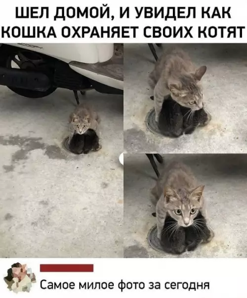 Смешная картинка №610252