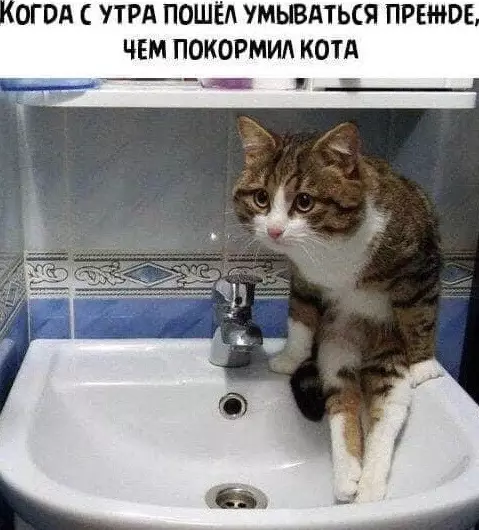 Смешная картинка №489759