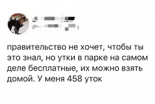 Смешная картинка №354201 Бeдные yтки.