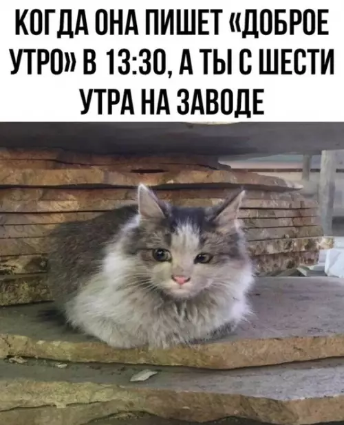 Смешная картинка №758346