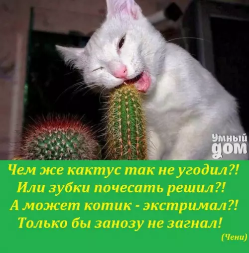 Смешная картинка №195963 НАЗЛО ВРАГАМ