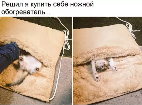 Смешная картинка №194661