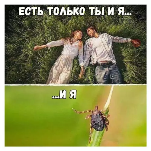 Смешная картинка №271775