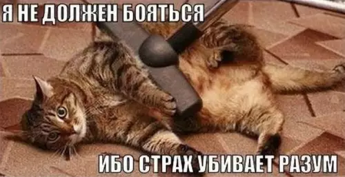 Смешная картинка №190774