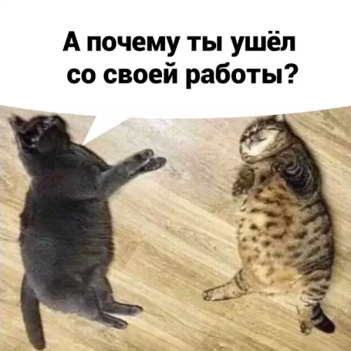 Смешная картинка №586193 Meчты должны сбываться