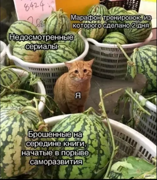 Смешная картинка №649495