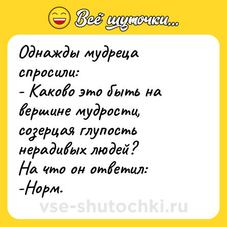 Шутка: Однажды мудреца спросили: <br>- Каково это быть на вершине мудрости, созерцая глупость нерадивых людей? <br>На что он ответил: <br>-Норм.
