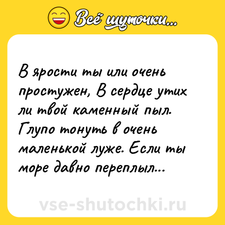 Шутка: В ярости ты или очень простужен, В сердце утих ли твой каменный пыл. Глупо тонуть в очень маленькой луже. Если ты море давно переплыл...