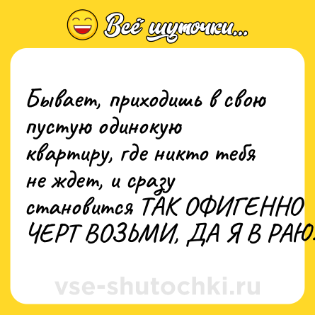 Шутка: Бывает, приходишь в свою пустую одинокую квартиру, где никто тебя не ждет, и сразу становится ТАК ОФИГЕННО ЧЕРТ ВОЗЬМИ, ДА Я В РАЮ.