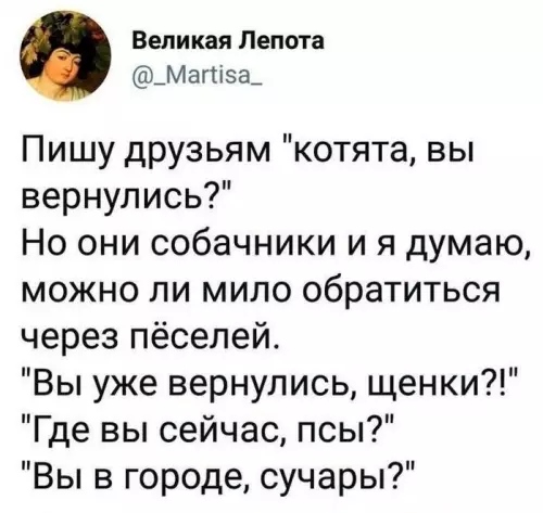 Когда не угадал с вайбом друзей 😂 - Пишу друзьям котятa, вы вернулись? Но они собачники и я