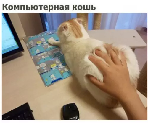Смешная картинка №290200