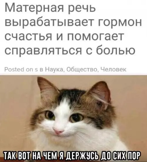 Смешная картинка №678847