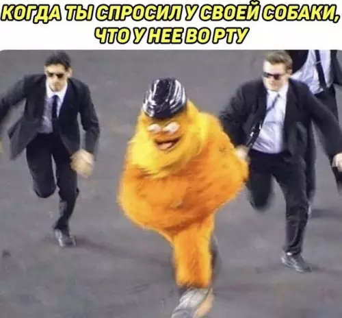 Смешная картинка №501694