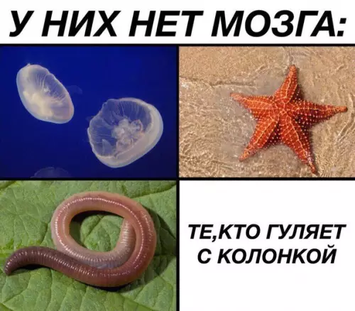 Смешная картинка №224930