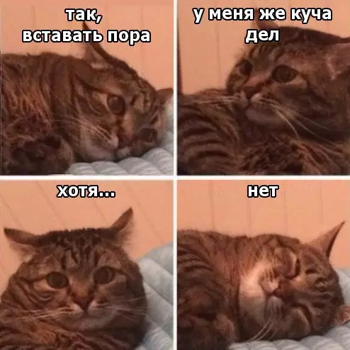 Смешная картинка №222464