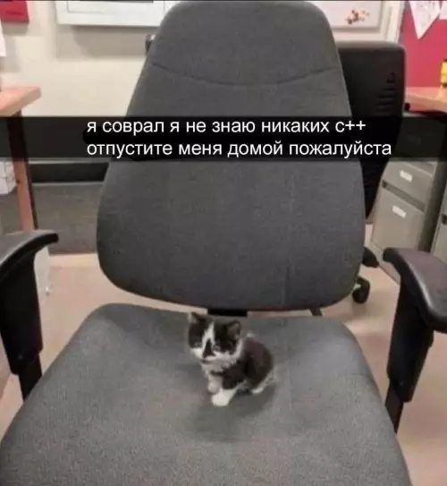 Смешная картинка №696032 Когда в первый рабочий день на работе тебя заставляют РАБОТАТЬ:
