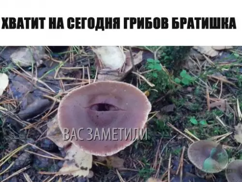 Смешная картинка №310733