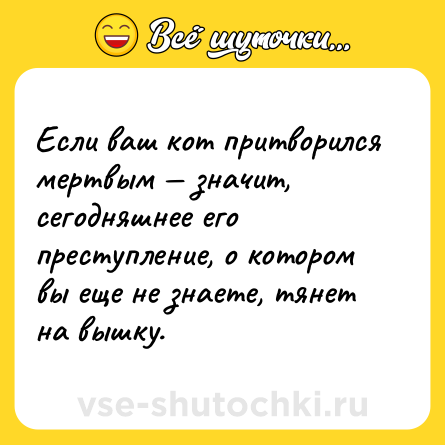 Шутка: Если ваш кот притворился мертвым — значит, сегодняшнее его преступление, о котором вы еще не знаете, тянет на вышку.