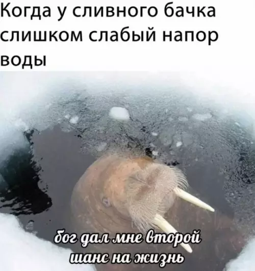 Смешная картинка №745118
