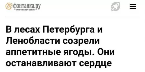 Ягоды, которые не захочется пробовать 🍓💀 - В лесах Петербурга и Ленобласти созрели аппетитные ягоды. Они останавливают
