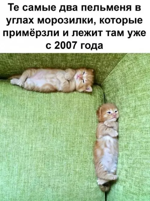 Смешная картинка №680923