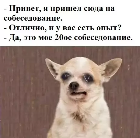 Смешная картинка №452034 Cвяжeтcя c Baми, cпacибo