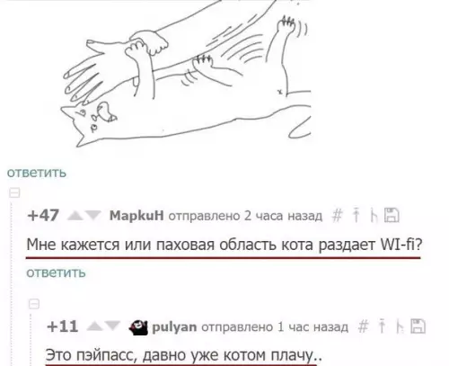 Смешная картинка №219424 коты