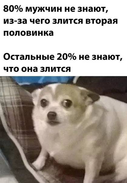 Смешная картинка №560622