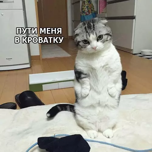 Смешная картинка №242384