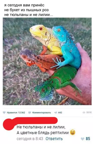 Смешная картинка №265082