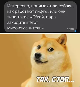 Смешная картинка №658476