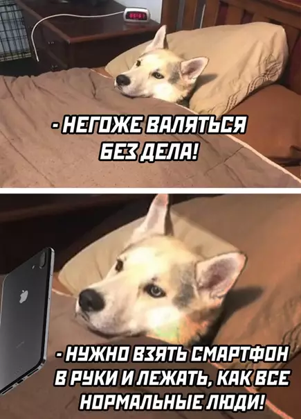 Смешная картинка №540890