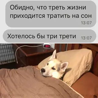 Смешная картинка №698079