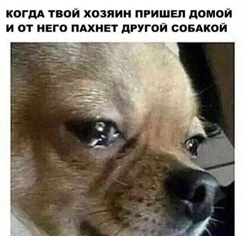 Смешная картинка №187882
