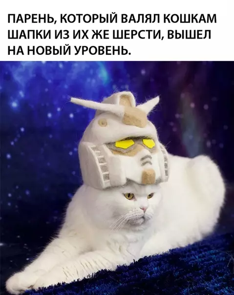 Смешная картинка №312625