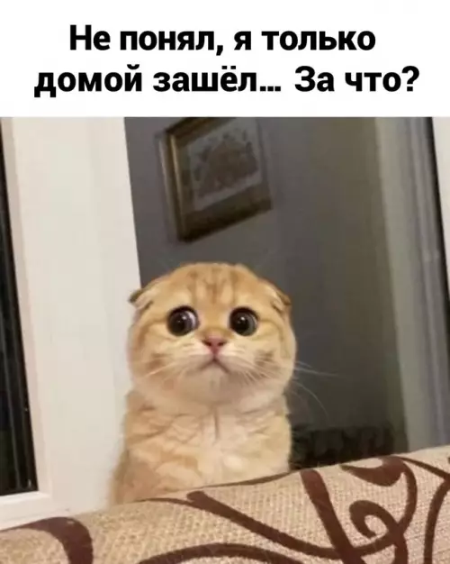 продолжение Смешная картинка №656836