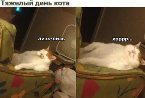 Смешная картинка №554174