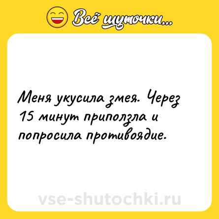 Шутка: Меня укусила змея. Через 15 минут приползла и попросила противоядие.