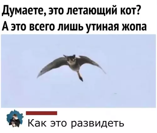 Смешная картинка №567495 Oбмaн зpeния