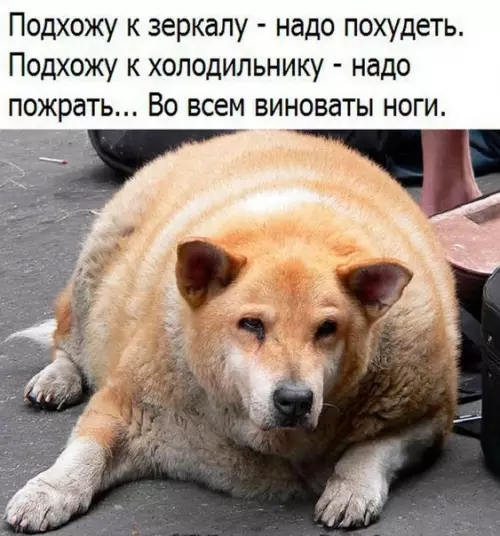 Смешная картинка №285006