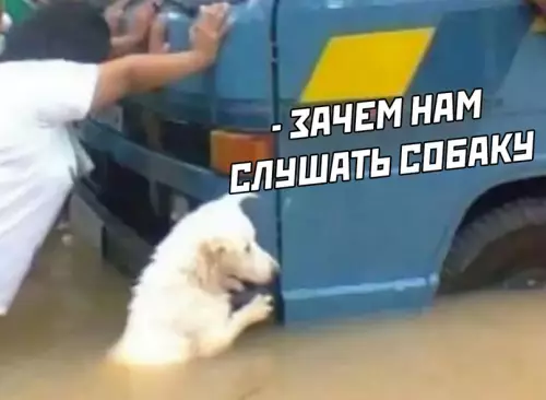 продолжение Смешная картинка №616741