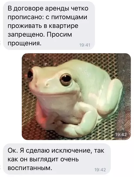 Смешная картинка №393109