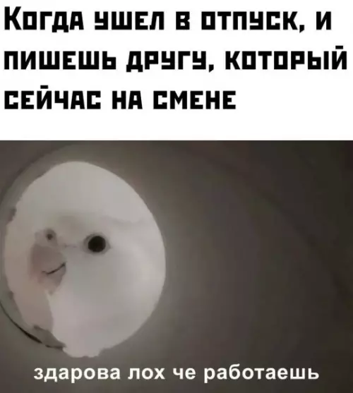 Смешная картинка №792264