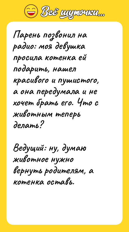 Парень позвонил на радио: моя девушка просила котенка ей подарить,