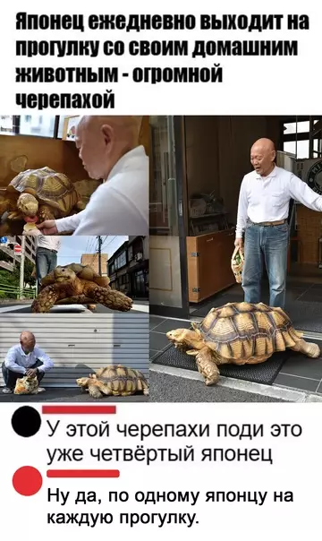 Смешная картинка №542736 Необычная парочка