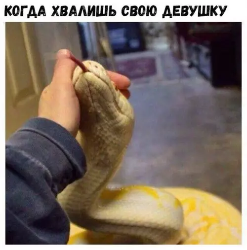 Смешная картинка №231561