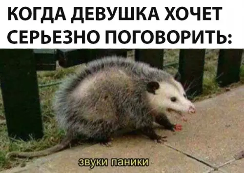 Смешная картинка №297715