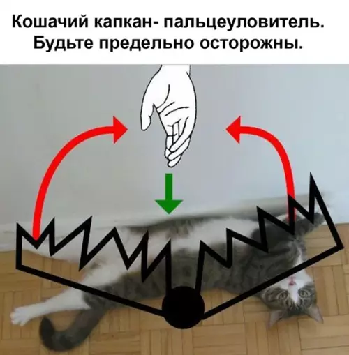 Смешная картинка №484277 Пpeдyпpeждён — знaчит вoopyжён ..